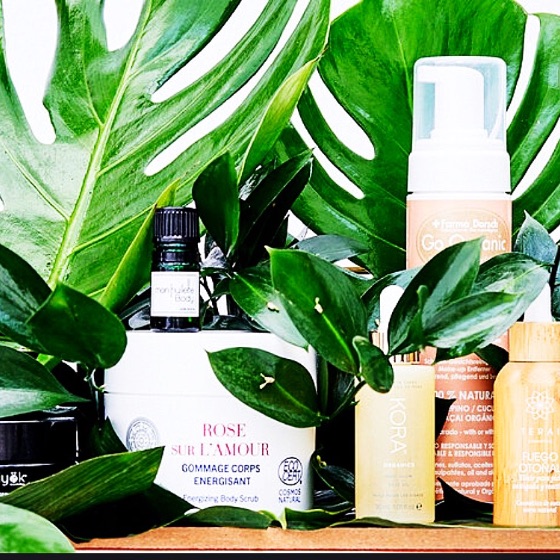 Lote de Productos de Cuidado Personal Orgánicos y Naturales